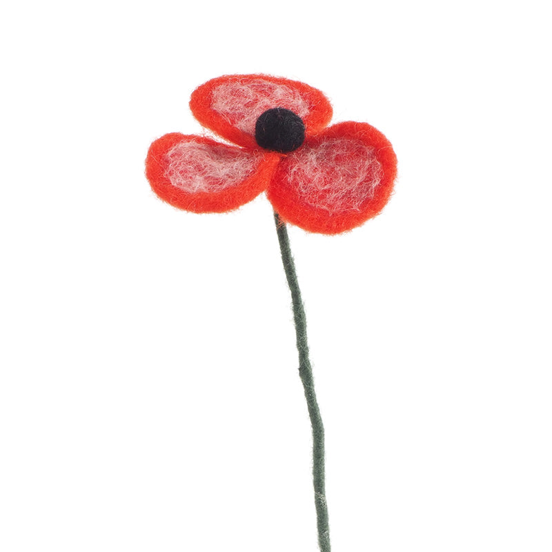 Fleur Coquelicot rouge