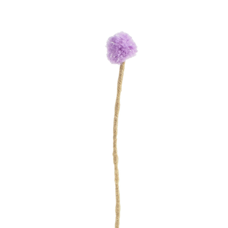 Fleur Pompon violet