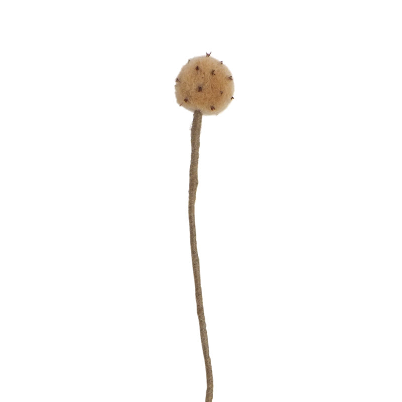 Fleur Pompon Marron