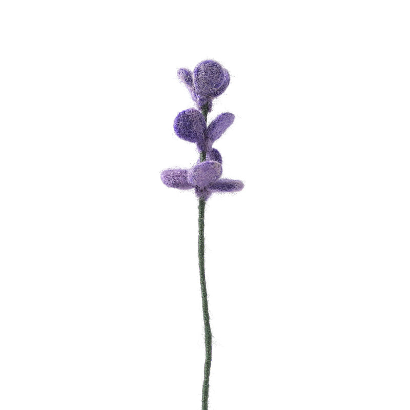 Fleur Lavande