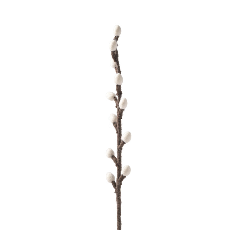 Fleur Coton blanc