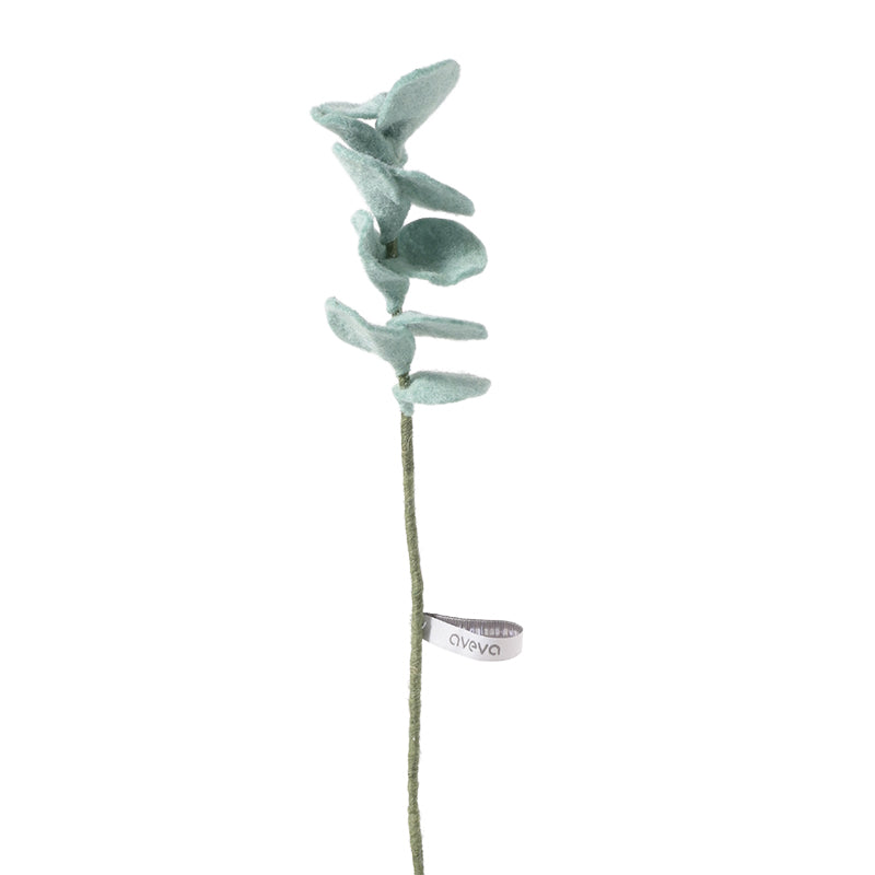 Fleur Eucalyptus Clair