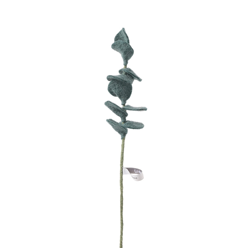 Fleur Eucalyptus