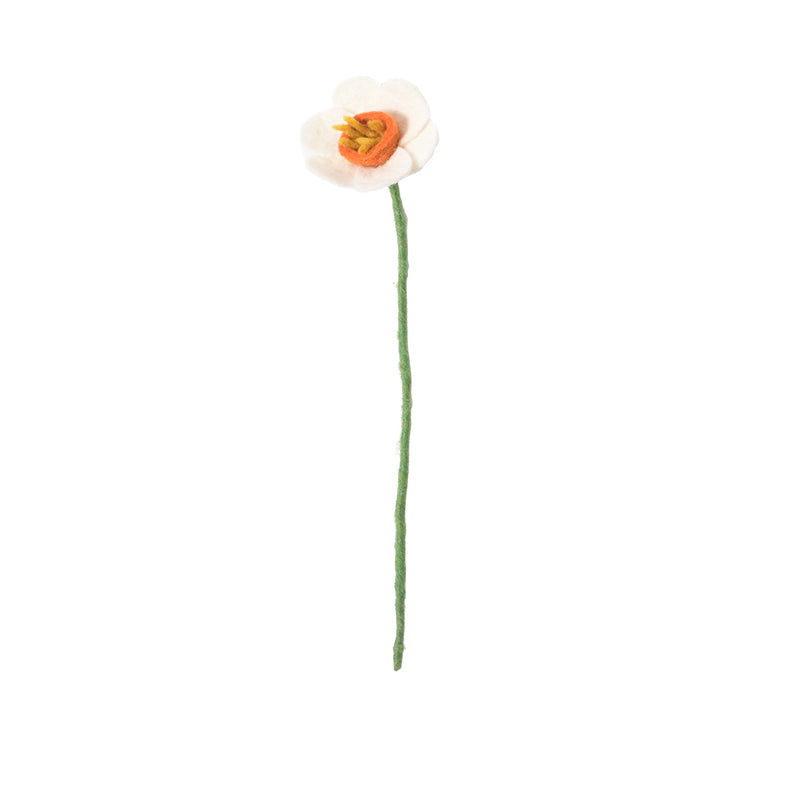 Fleur Jonquille