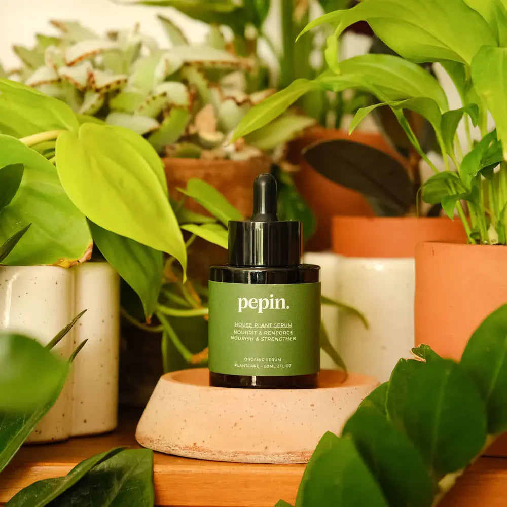 House plant serum