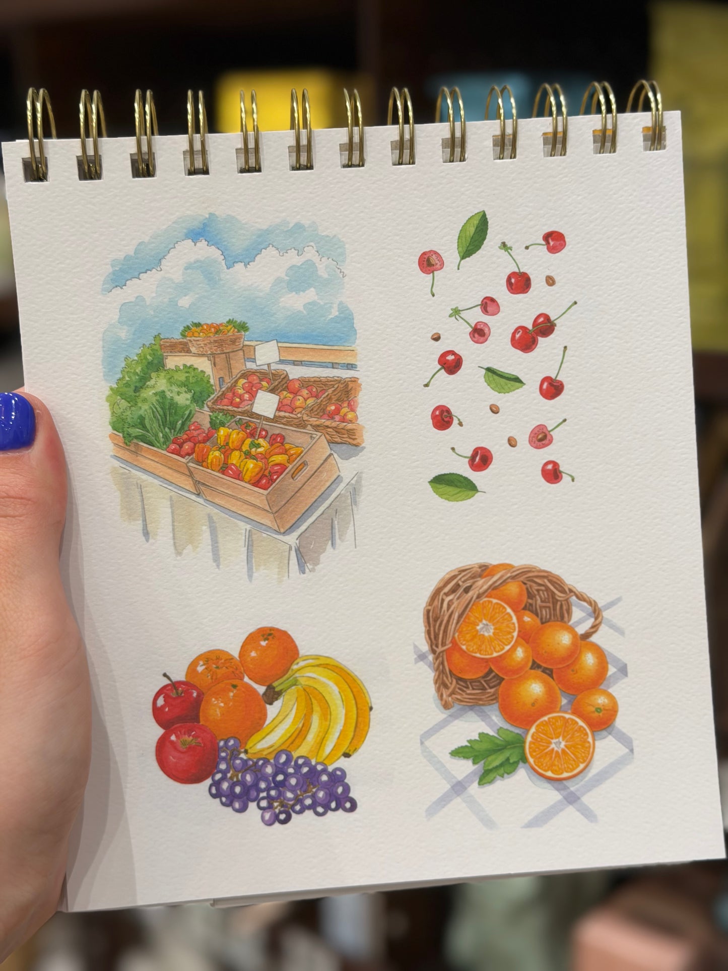 Travel book - Retour de marché