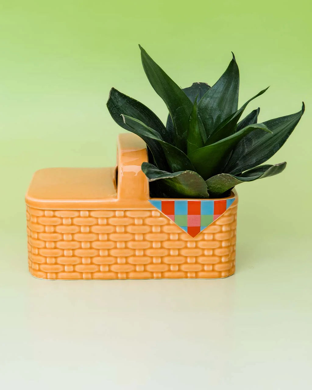 Vase en céramique, Jardinière pique-nique
