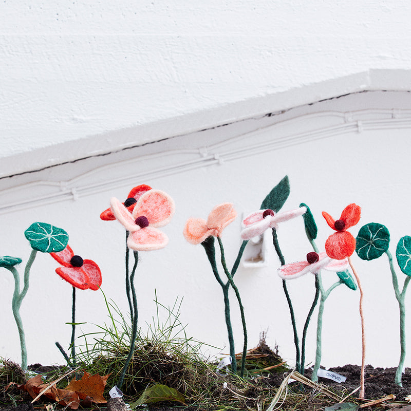 Fleur Coquelicot rouge