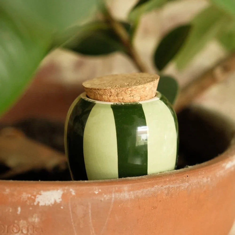 Olla - Rayé vert et vert foncé